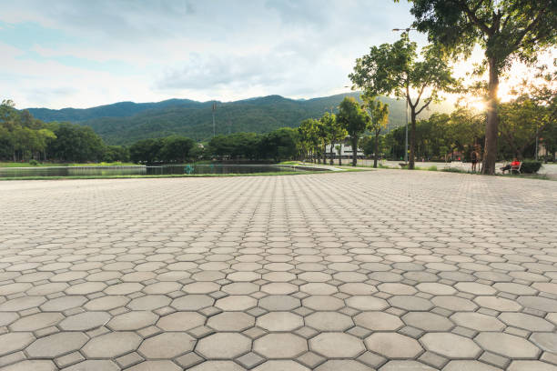 Best Concrete Paver Driveway  in Neoga, IL