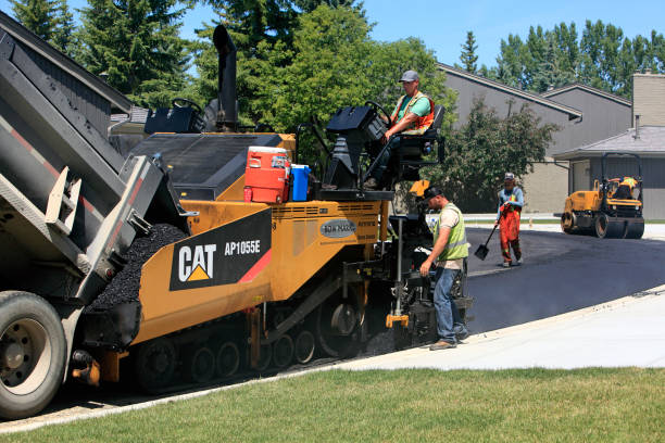 Best Driveway Paving Contractor  in Neoga, IL